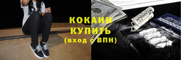 шишки Новозыбков
