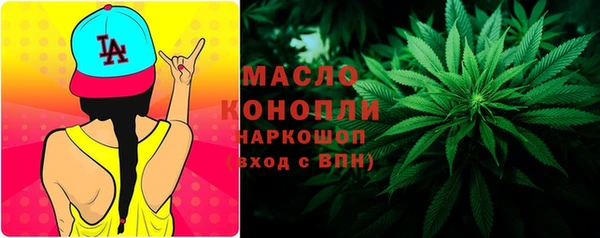 шишки Новозыбков