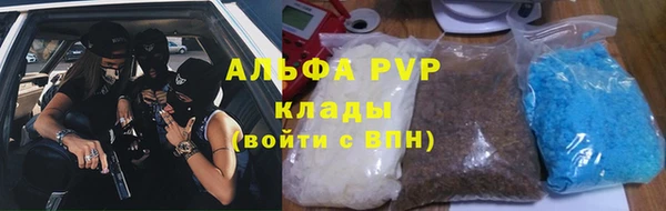 гидра Новодвинск