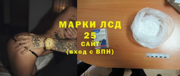 шишки Новозыбков
