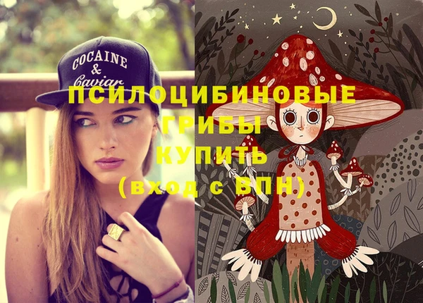 гидра Новодвинск