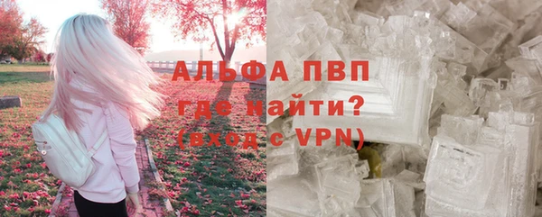 шишки Новозыбков