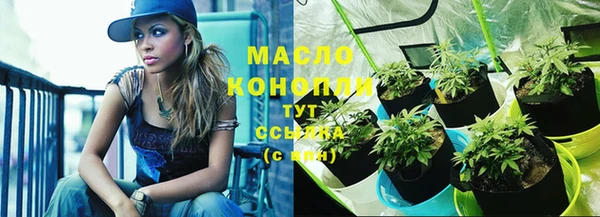 шишки Новозыбков