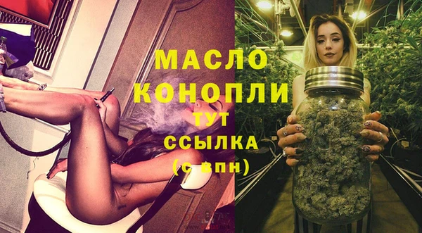гидра Новодвинск