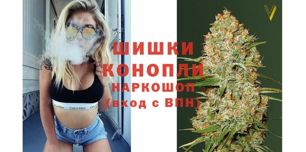 шишки Новозыбков