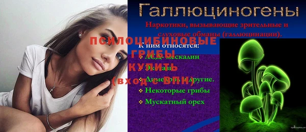 гидра Новодвинск