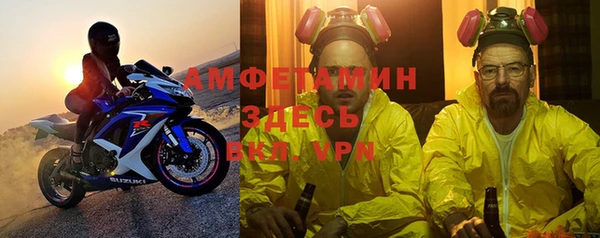 шишки Новозыбков