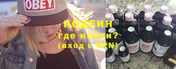 шишки Новозыбков