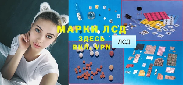 гидра Новодвинск